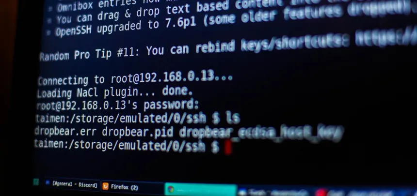 Python Nedir?